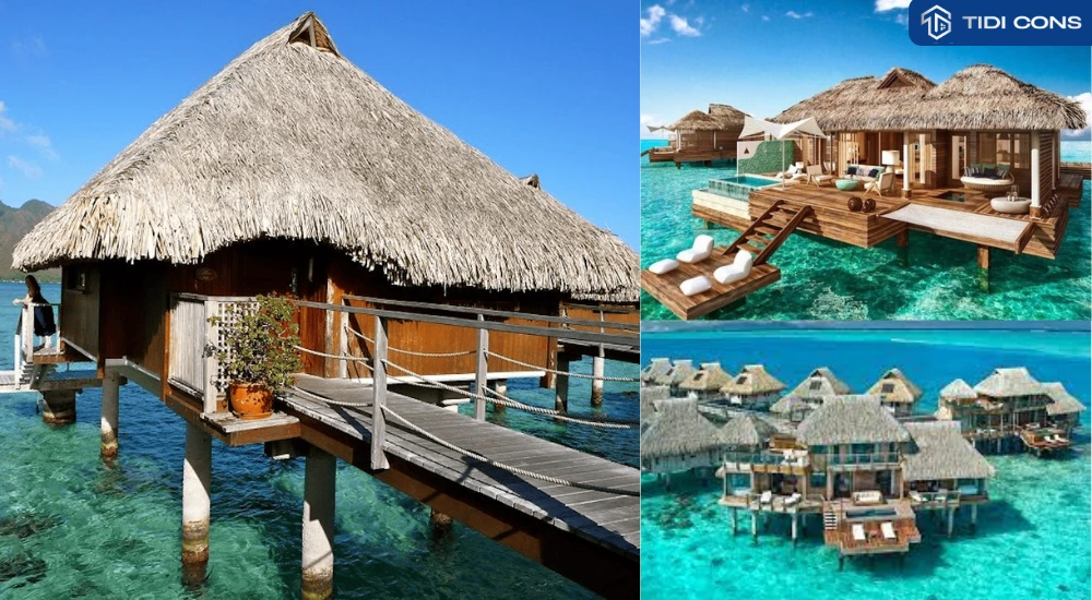 bungalow homestay