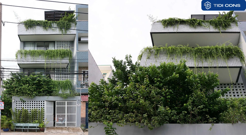 thiết kế nhà phố có sân vườn