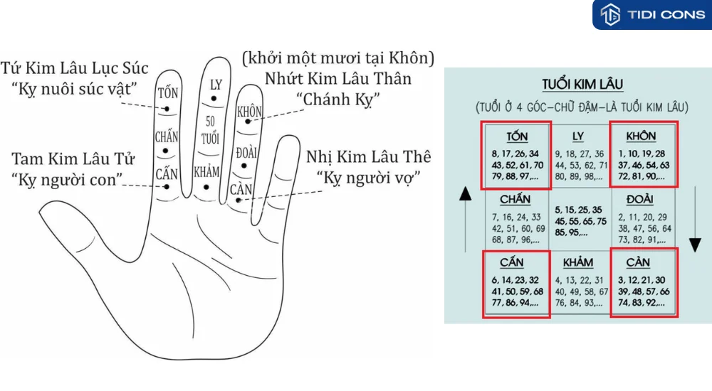 Tuổi Tân Dậu 1981 xây nhà năm 2025 